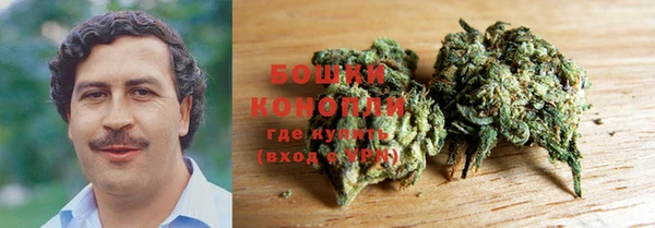 сатива Медвежьегорск
